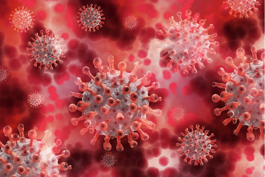 what is coronavirus?