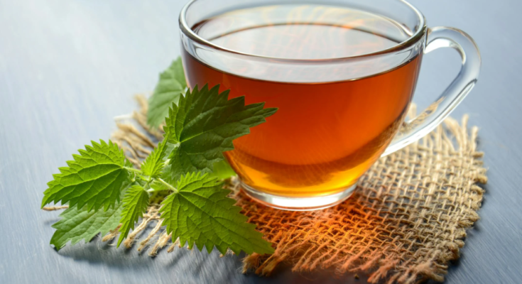 Does Green Tea Help with Weight Loss?